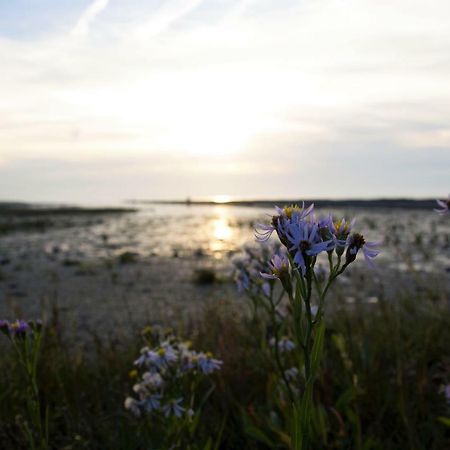 Romantischer Winkel Neuharlingersiel Buitenkant foto