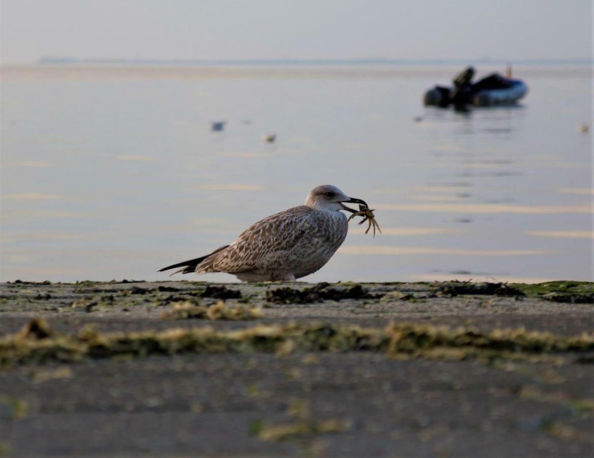 Romantischer Winkel Neuharlingersiel Buitenkant foto