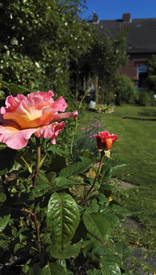 Romantischer Winkel Neuharlingersiel Buitenkant foto